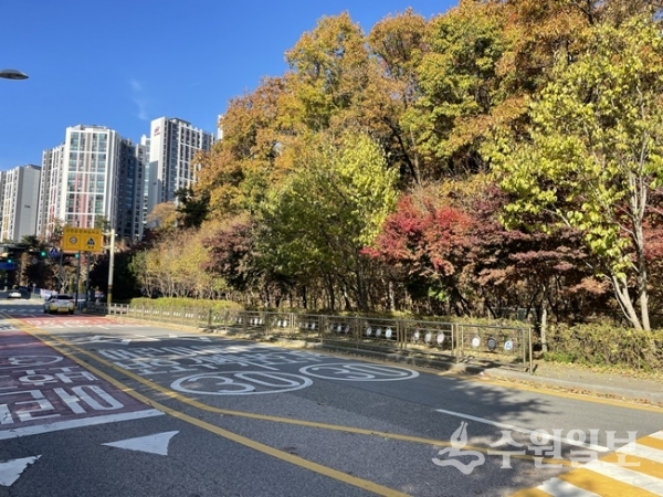 신봉동 도서관 건립 예정부지 전경.(사진=용인시)
