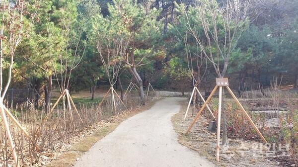 쓰레기 무단 적치장으로 크게 훼손됐던 숙지공원이 생태숲으로 되살아났다 (사진=수원시)
