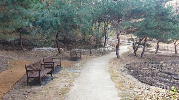 숙지공원 일부가 생태숲으로 준공된 모습. (사진=수원시)