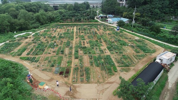 용인시 기흥구 공세동 시민농장 전경.(사진=용인시)