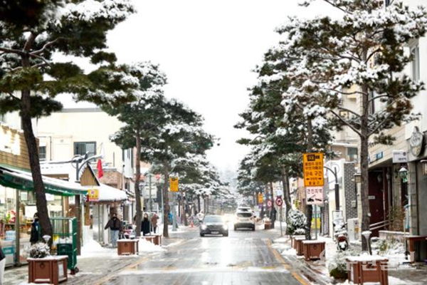 수원시 팔달구 신풍로 27번길 가로수 설경(사진=수원시)