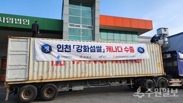 강화섬쌀이 캐나다 수출을 위해 강화군농협쌀조합공동사업법인에서 컨테이너에 하역되고 있다. (사진=강화군)