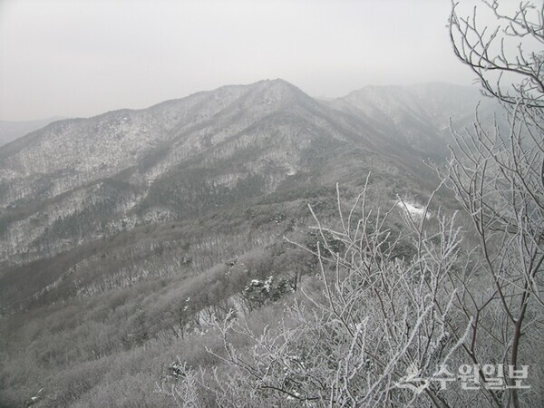 형제봉에서 바라본 눈 내린 겨울철 광교산 모습(사진=수원시)