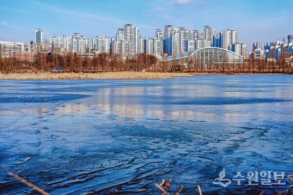 얼어붙은 일월저수지 수면 위로 아파트 등 도시의 풍경이 반사되고 있다.(사진=수원시)