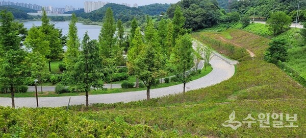 막바지 조성공사가 진행중인 광교호수공원 철쭉동산. (사진=수원시)