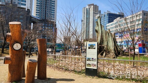 밑동만 남은 영통 느티나무와 부러진 가지로 만든 조형물이 설치된 현재의 모습. (사진=수원시)