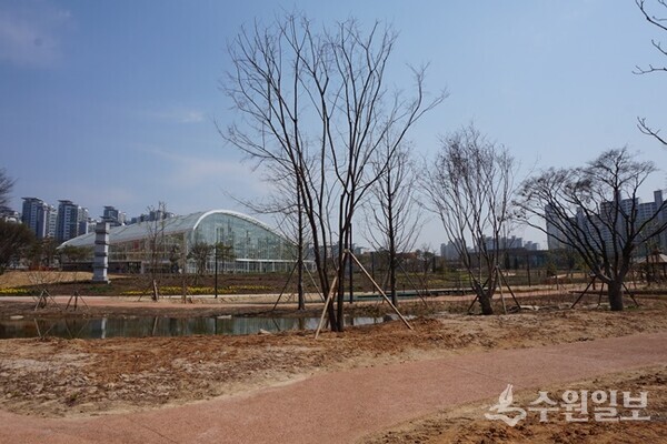 일월수목원 전경. (사진=필자 김우영)