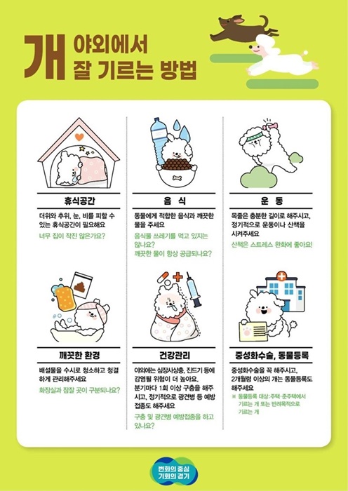 실외사육견 중성화 수술지원 이미지.(사진=경기도)