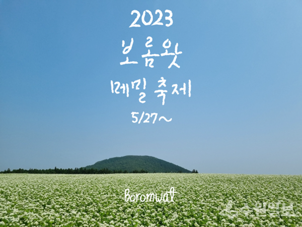 '2023년 보롬왓 오감만족 제주메밀꽃축제' 홍보포스터.