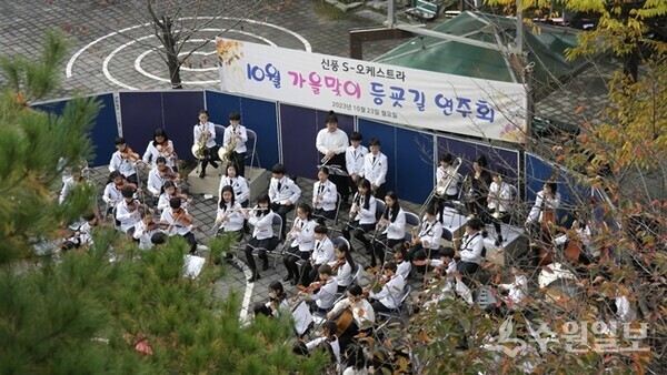 수원 신풍초교 S-오케스트라단이 '가을맞이 등굣길 연주회'를 갖고 있다. (사진= 신풍초교)