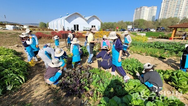 용인시 시민농장 모습. (사진=용인시)