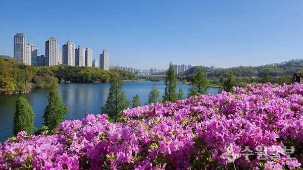 광교호수공원 철쭉동산. (사진=수원시)
