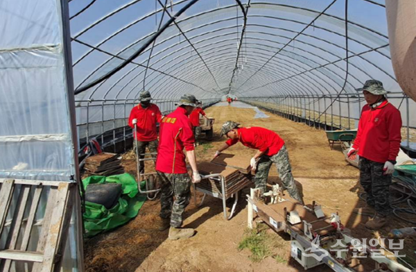 해병대 제2사단 부대원들이 강화군내 한 농가에서 모판에 흙넣기 작업을 돕고 있다. (사진=강화군)