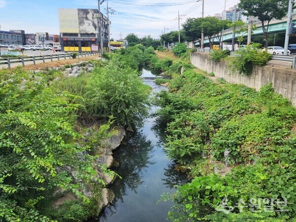 완기천 전경. (사진=용인시)