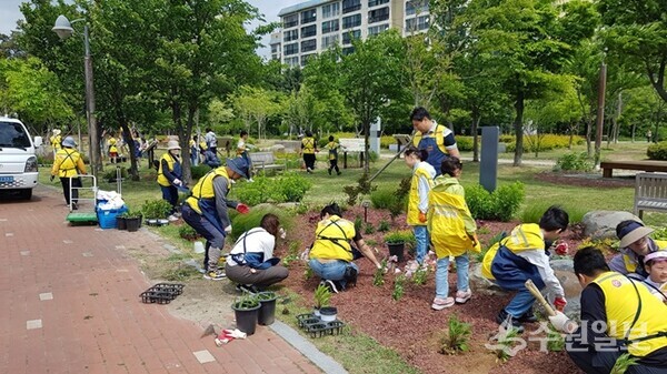 우리동네 손바닥정원 가족봉사단이 정원을 조성하고 있다. (사진=수원시)