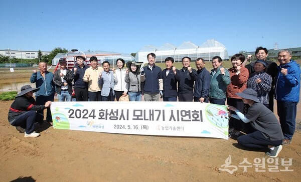 모내기 시연행사에서 참석자들이 함께 하고 있다. (사진=화성시)