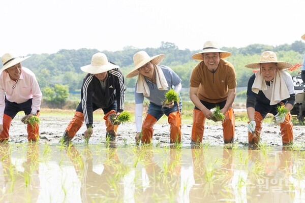 김동연 경기도지사(가운데)가 22일 오전 여주 가남읍 연대리에서 열린 2024년 경기미 모내기 행사에서 이충우 여주시장, 정병관 여주시의회 의장, 도의원, 시의원 및 농업인 등과 손 모내기를 하고 있다. (사진=경기도)