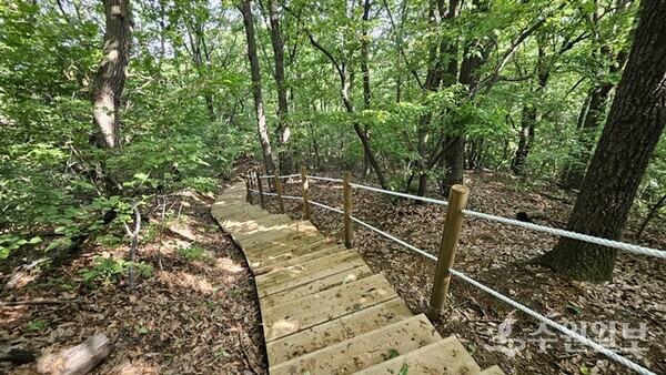 용인시가 정비한 수지구 고기동 노인회관에서 바라산 정상에 이르는 3km 구간 광교산 둘레길. (사진=용인시)