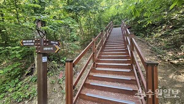 용인시가 신설한 처인구 포곡읍 신원 저수지에서 시작하는 선장산 숲길 0.5km 구간 숲길. (사진=용인시)