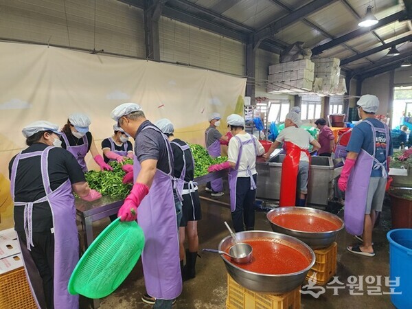 의왕시 부곡동지역사회보장협의체 위원들이 13일 어려운 이웃들에 전달할 열무김치를 담그느라 구슬땀을 흘리고 있다. (사진=의왕시)