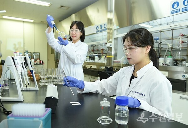 경기도경제과학진흥원 바이오산업본부에서 연구원들이 항비만 치료 후보물질을 개발하기 위해 연구를 수행하고 있다. (사진=경과원)