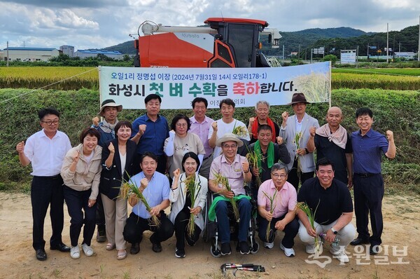 31일 정남면 오일리 뜰에서 가진 화성시 첫 벼 베기 행사에 참석자들이 함께 하고 있다. (사진=화성시) 