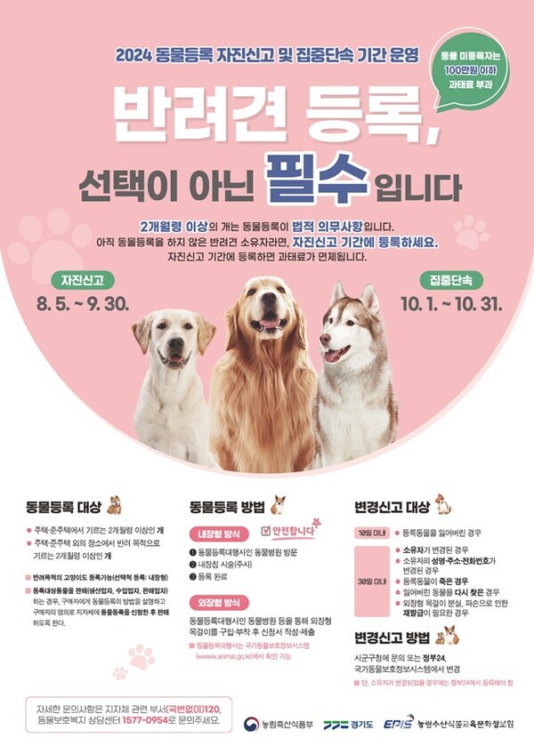 반려동물 자진신고 포스터