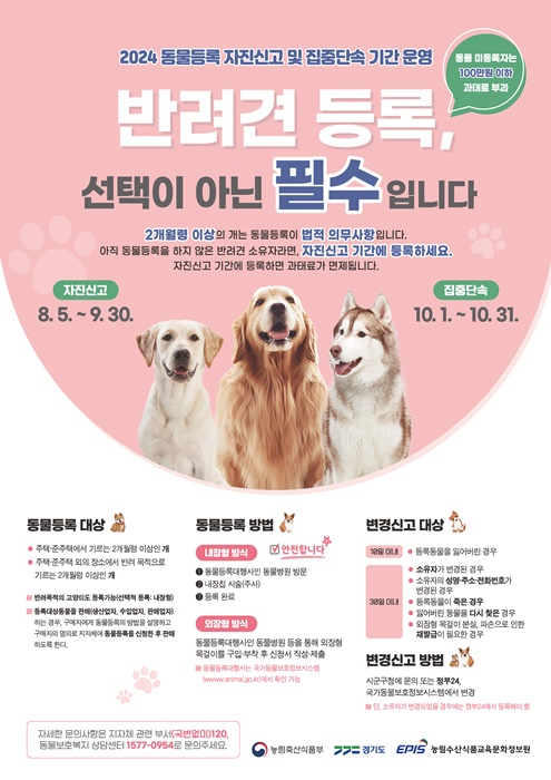 반려동물 등록 자진신고 기간 홍보 이미지.