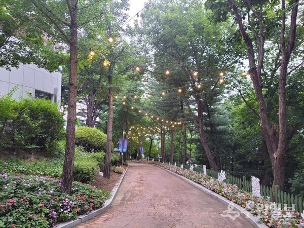 용인특례시가 농촌테마파크 야간 개장을 위해 진입로에 조명을 설치했다.(사진=용인시)