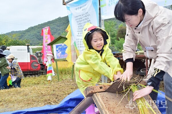 한 어린이가 엄마와 함께 탈곡 체험을 하고 있다. (사진=이용창 화성연구회 이사)