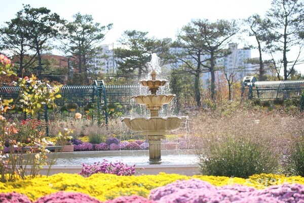 일월수목원에 있는 장식정원 모습. (사진=수원시)