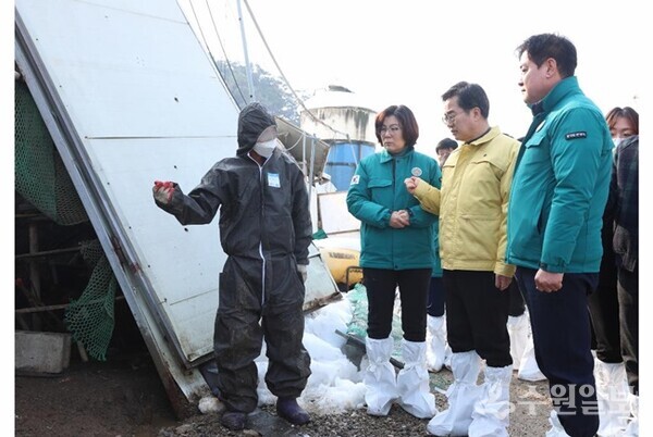 2일 오전 김동연 도지사가 김보라 안성시장, 윤종근 국회의원 등과 함께 양계장 대설피해지역을 현장방문해 피해현장을 확인하고 있다. (사진=경기도)