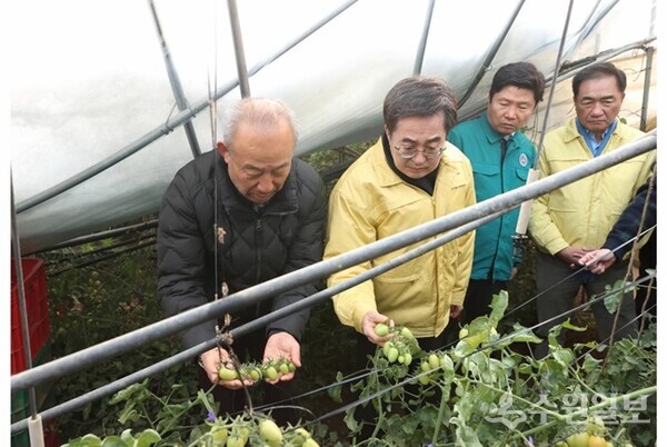 2일 오전 김동연 도지사가 정장선 평택시장, 홍기원 국회의원 등과 함께 평택 비닐하우스 대설피해지역을 현장방문해 피해현장 확인을 하고 있다. (사진=경기도)