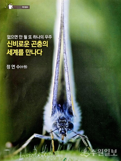 정연수 사진작가의 '제6회 개인전' 홍보 포스터.