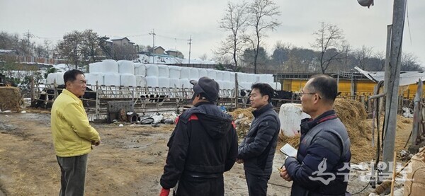 정장선시장이 폭설 피해농가를 살피고 있다.(사진=평택시)