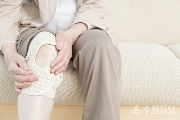 일상생활이 어려울 만큼 무릎 통증이 지속된다면 근감소증으로 인한 퇴행성 관절염을 의심해 봐야 한다. (사진=나누리병원)