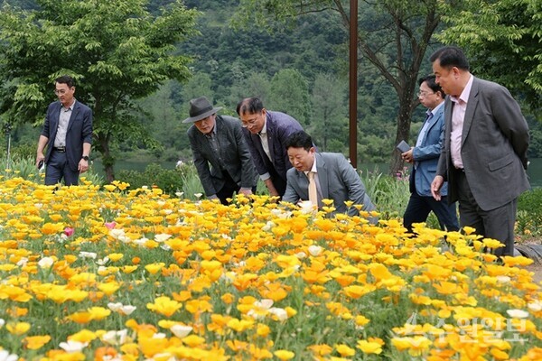 서태원 가평군수(오른쪽 세번째)가 자라섬 꽃페스터에서 시민들과 함께 하고 있다. 지난 5~6월과 9~10월 자라섬 남도에서 열린 ‘자라섬 꽃 페스타’에는 총 36만5000명의 방문객이 찾아 행사 기간 입장료 수입과 농산물 판매 등으로 약 24억원의 직접적인 경제효과에다 약 278억원의 간접 경제효과(추산)를 올렸다.  (사진=가평군)