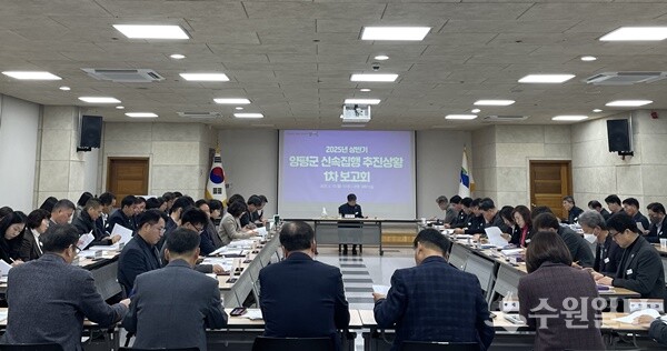 마순흥 양평군 부군수가 2025년 상반기 신속집행 추진 보고회를 주재하고 있다. (사진=양평군) 