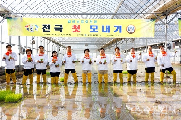김경희 이천시장(가운데)이 시의원,지역 유관단체장들과 함께 호법면 안평 3리 일대에서 전국 첫 모내기를 하고 있다. (사진=이천시)