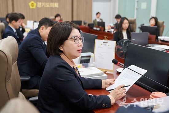 이서영 경기도의회 의원. (사진=경기도의회)