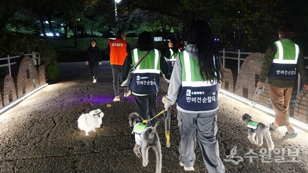 수원시 반려견 순찰대가 장안구 송죽동 주택밀집지역에서 수원 중부경찰서와 함께 합동 순찰을 하고 있다.(사진=수원시)