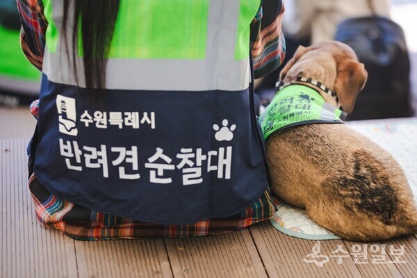 수원시 반려견 순찰대로 선발돼 발대식에 참석한 견주와 반려견.(사진=수원시)