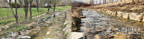 건천화돼 물이 마른 호매실천(전)과 황구지천 하수처리수 재이용 사업으로 수량이 늘어난 모습(후) 비교.(사진=수원시)