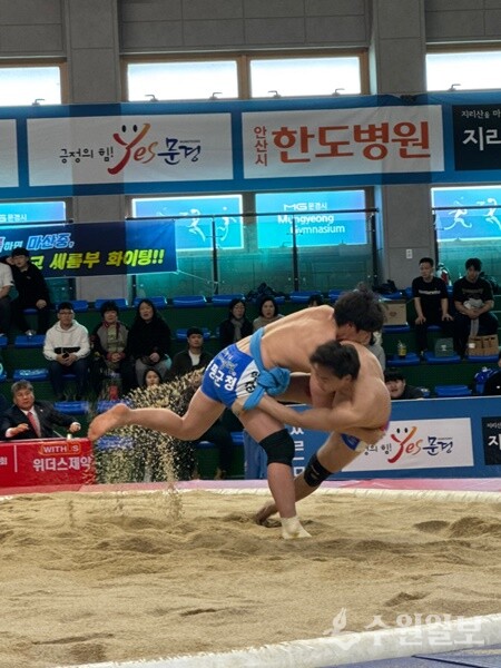 지난 8일 경북 문경실내체육관에서 개최된 '제55회 회장기전국장사씨름대회' 장면. 박권익 선수(왼쪽)는 이 대회에서 2위를 차지했다. (사진=양평군)