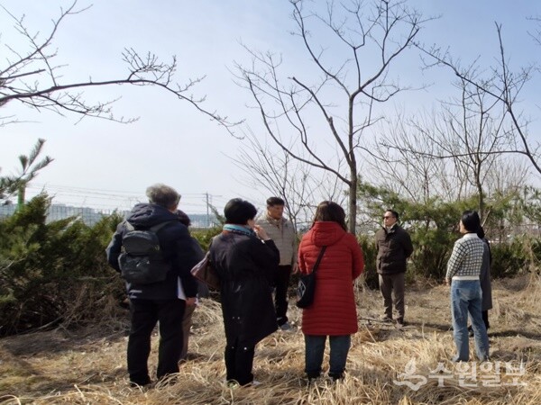 남양주시 다산행정복지센터가 지역봉사단과 함께 도시환경 개선을 위한 현장 점검을 하고 있다. (사진=다산행정복지센터)
