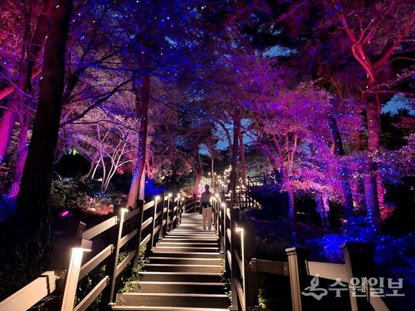 수원시 팔달산 회주도로에서 서장대까지 연결하는 숲속 별빛산책로에 조명이 켜진 모습.(사진=수원시)