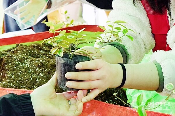 찾아가는 새빛 정원상담실에서 시민들이 반려식물 만들기 체험을 하고 있다.(사진=수원시)