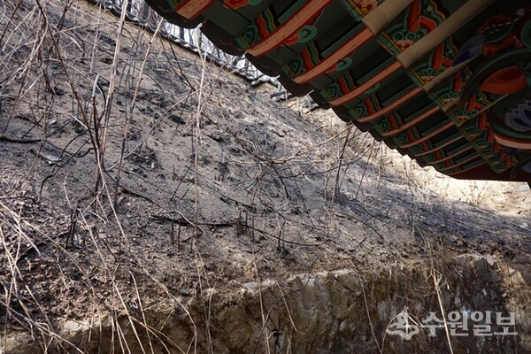 근성서원 처마 아래까지 산불이 쳐들어왔으나 건물은 멀쩡했다. (사진=김우영)