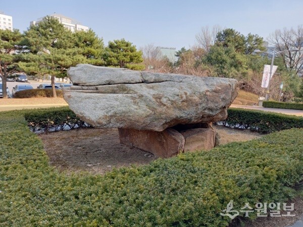 수원박물관 야외 전시장에 있는 금곡동 출토 고인돌. (사진=수필가 윤재열)