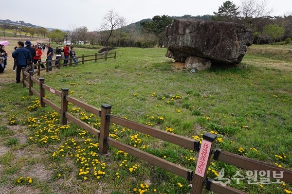 지난 4월 12일 전북 고창의 고인돌 유적지를 답사하고 있는 (사)화성연구회 회원들. (사진=김우영)